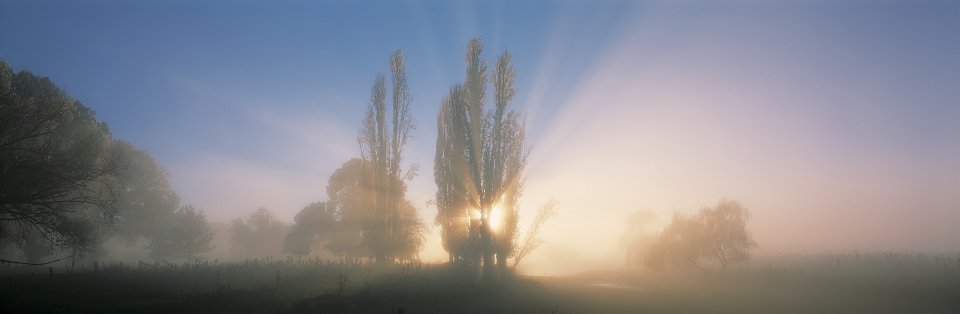 Mists of Dawn